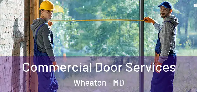 Commercial Door Services Wheaton - MD