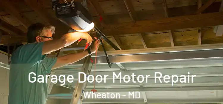  Garage Door Motor Repair Wheaton - MD