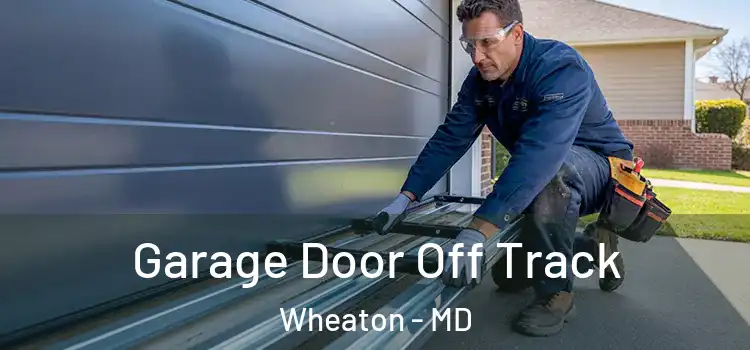  Garage Door Off Track Wheaton - MD
