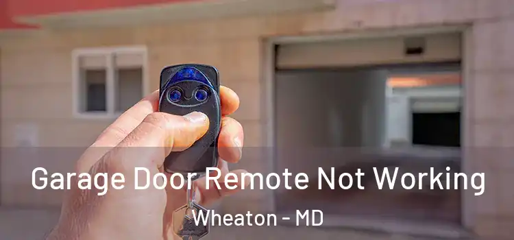  Garage Door Remote Not Working Wheaton - MD