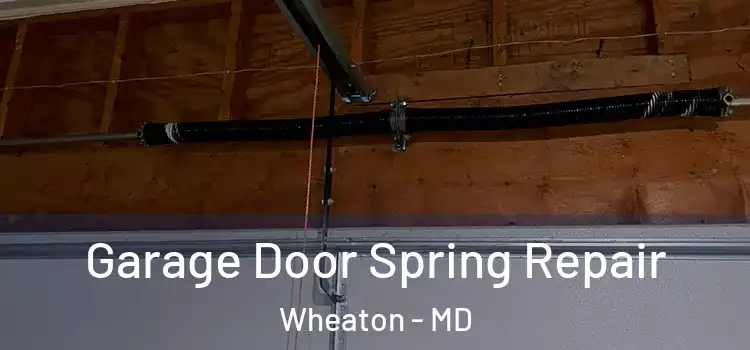  Garage Door Spring Repair Wheaton - MD