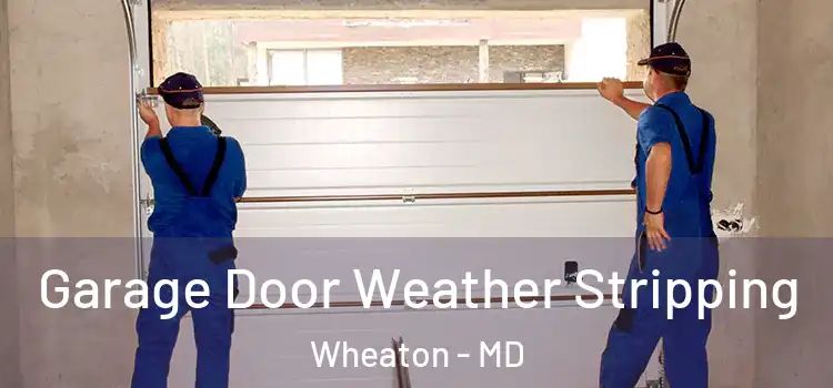  Garage Door Weather Stripping Wheaton - MD