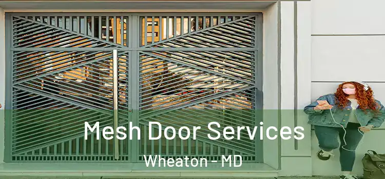 Mesh Door Services Wheaton - MD