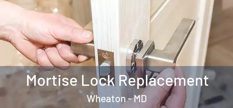 Mortise Lock Replacement Wheaton - MD