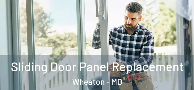  Sliding Door Panel Replacement Wheaton - MD