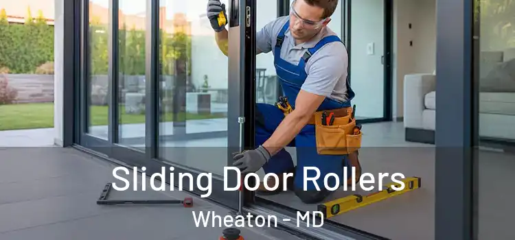 Sliding Door Rollers Wheaton - MD